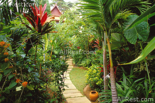Rocky Resort 9